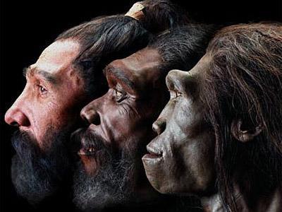 Australopithecus er