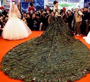 de dyreste smukke brudekjoler 